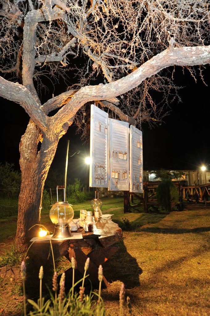 Propuestas, detalles y colores